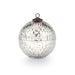 Silver Balsam & Cedar Mercury Ornament