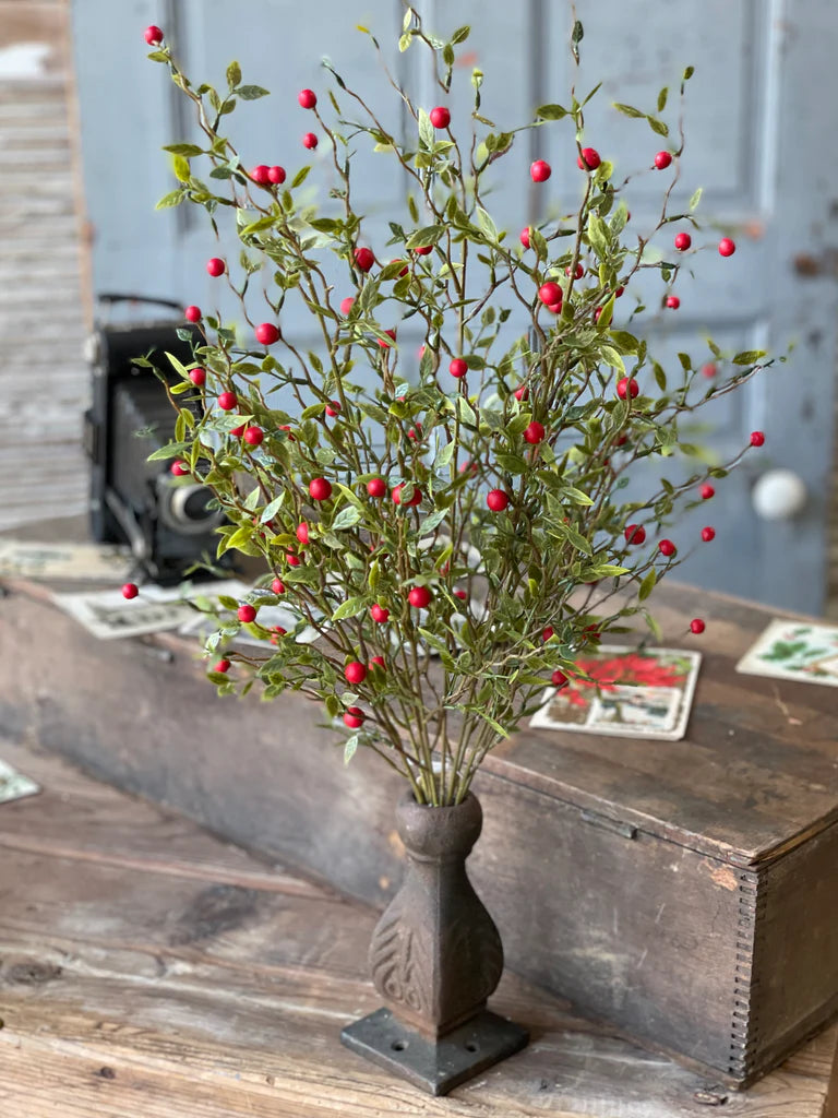 Blaze Berry Bush | 22" | Red