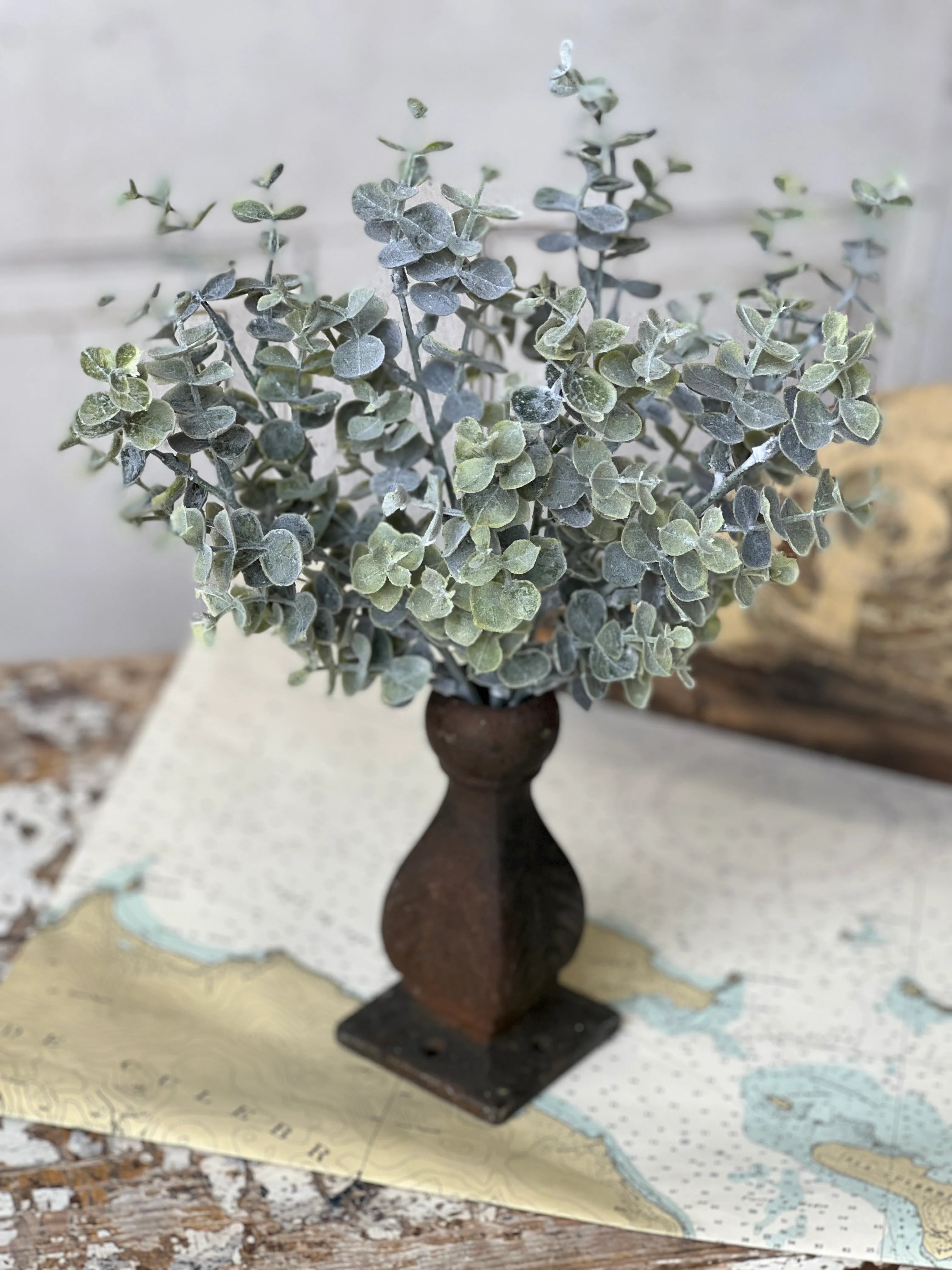 Blue Moon Eucalyptus Bush | 14"