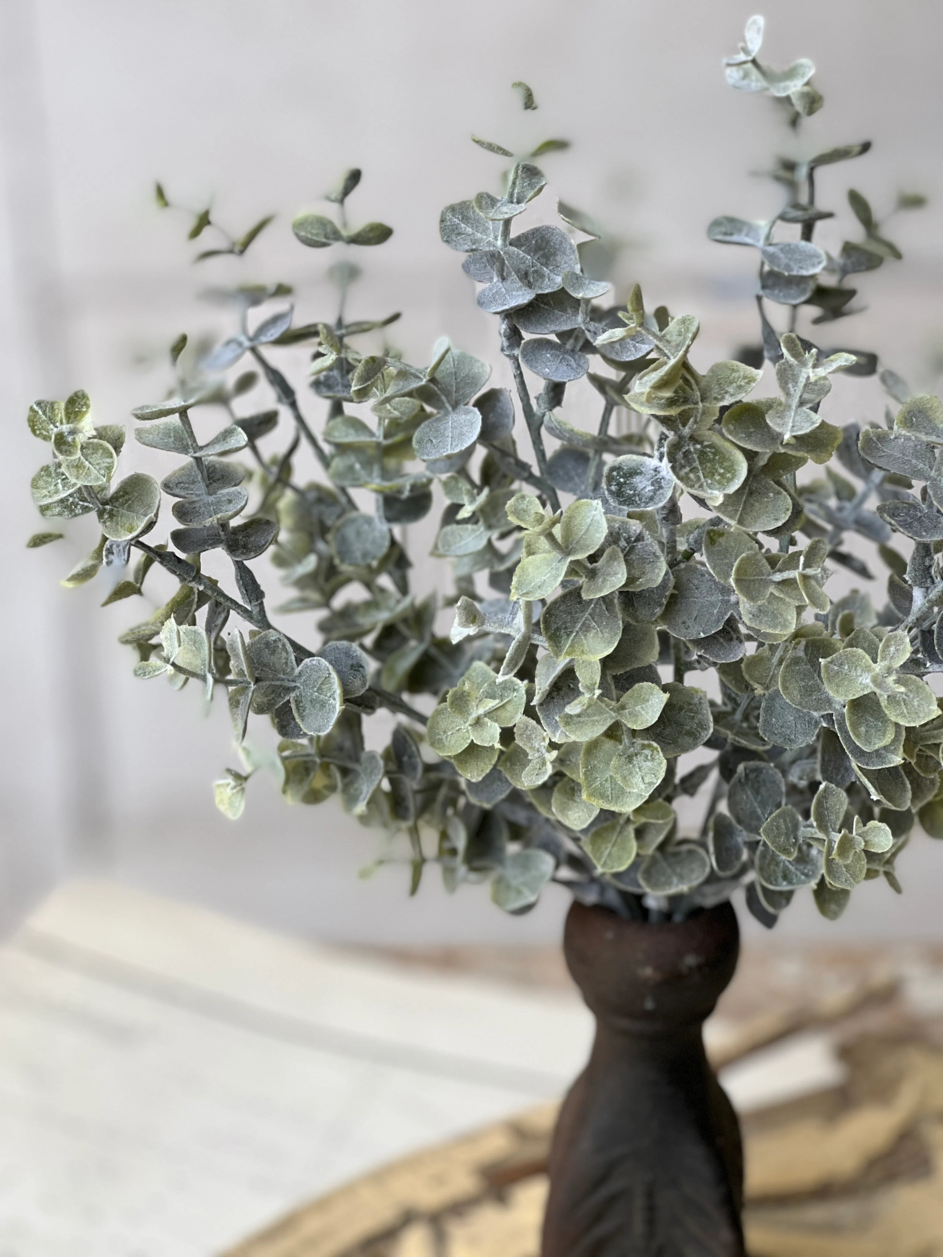 Blue Moon Eucalyptus Bush | 14"