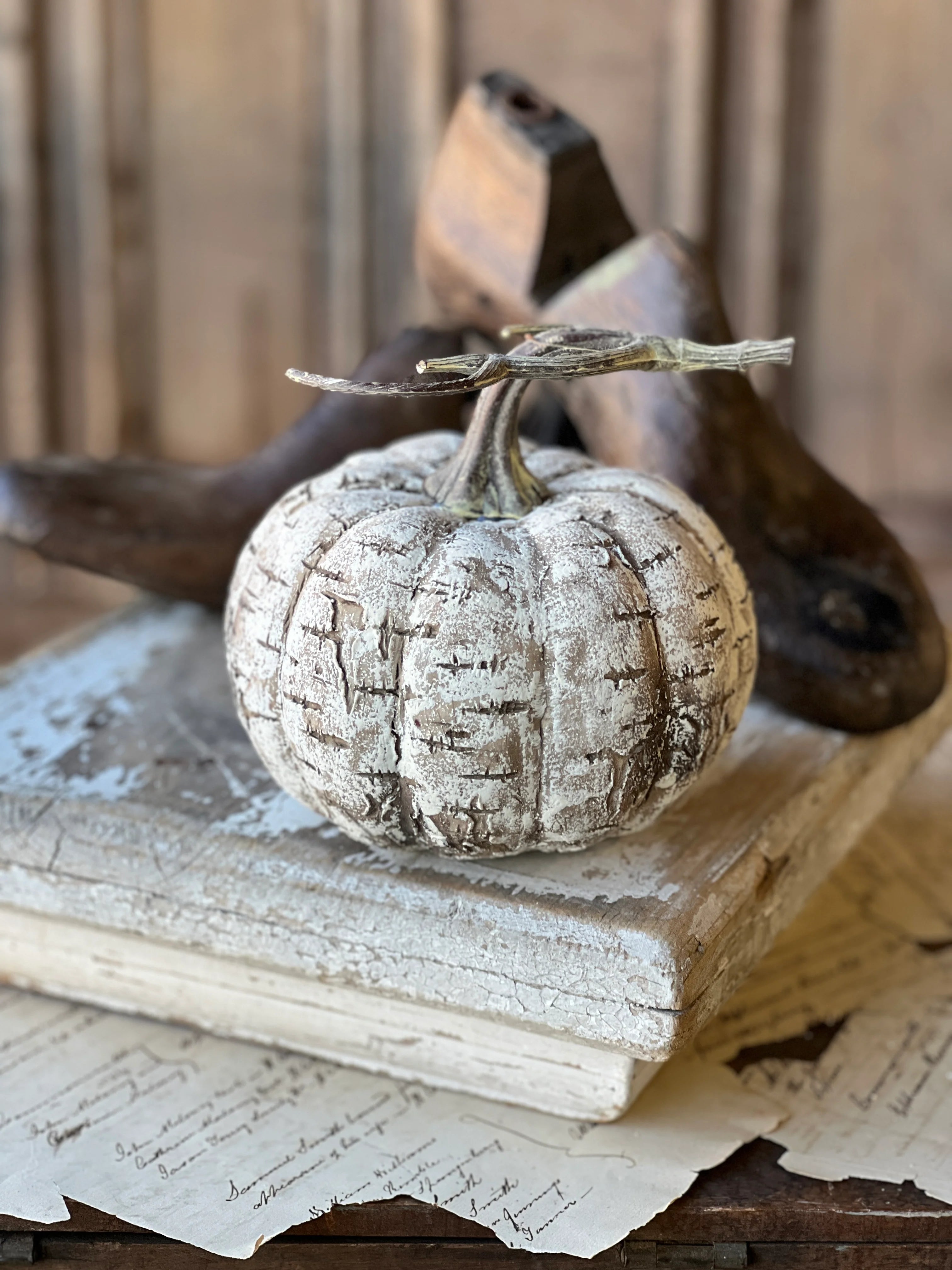 White Birch Pumpkin | 6"