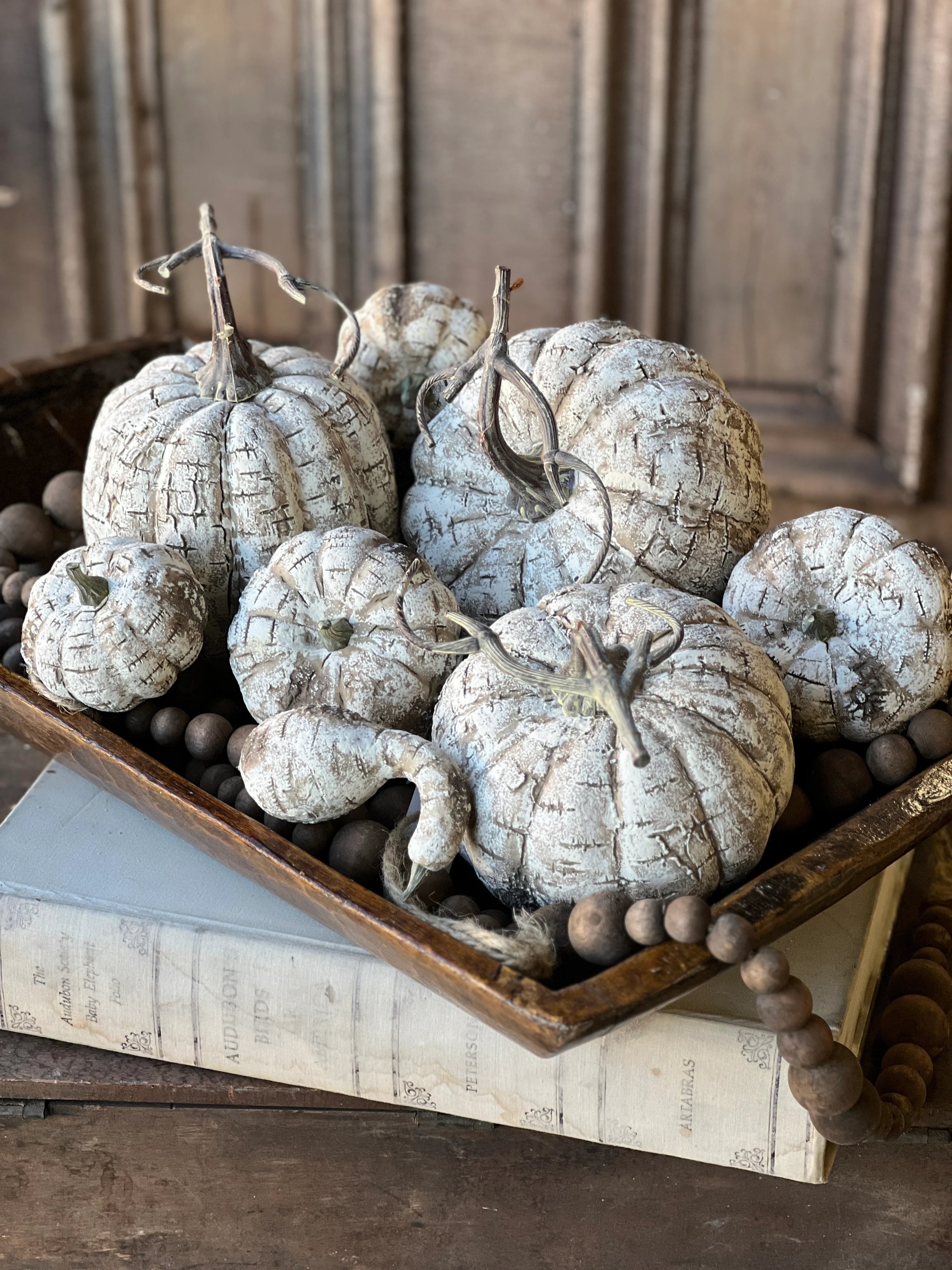 White Birch Pumpkin | 6"