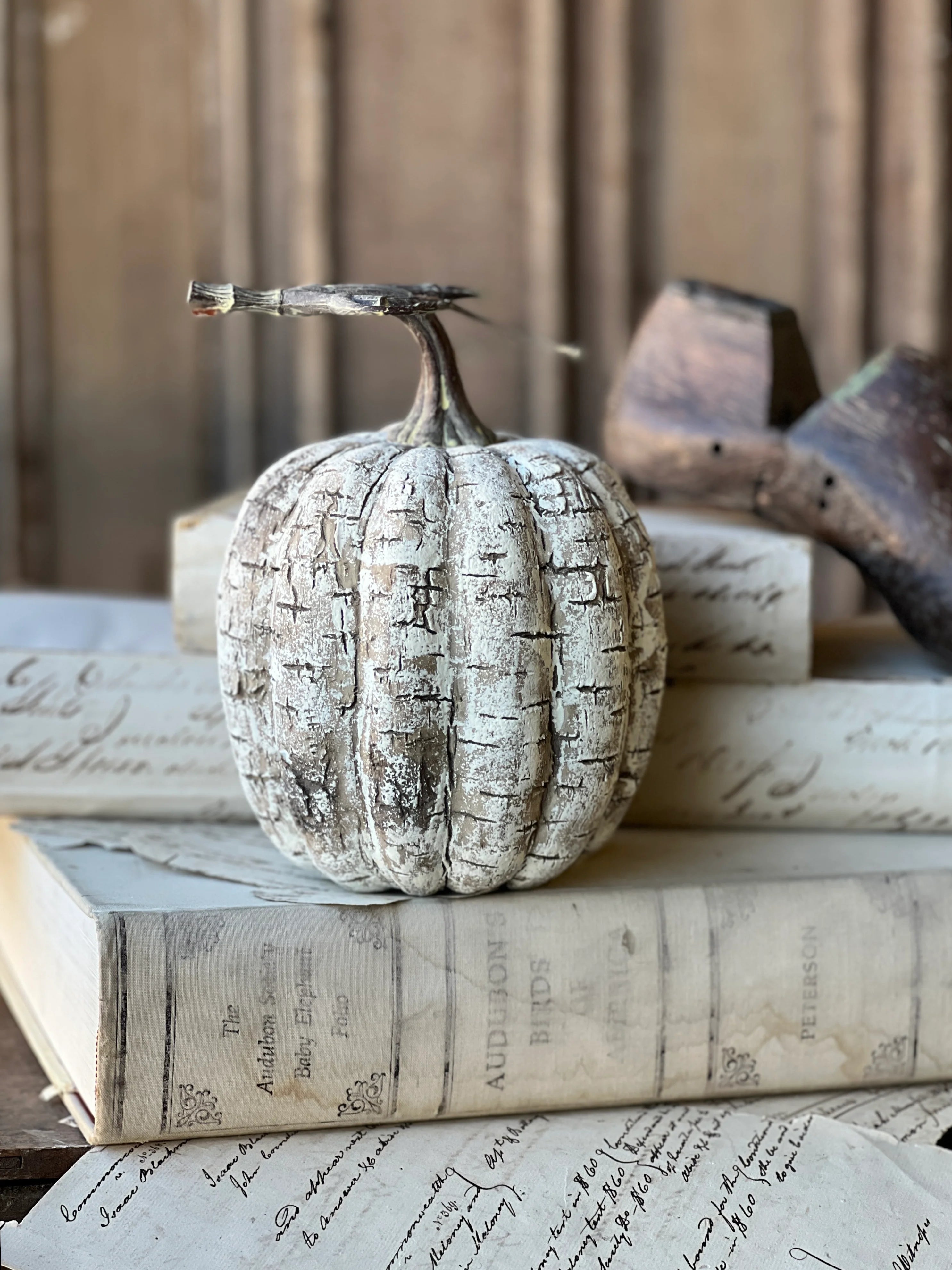 White Birch Pumpkin | 8"