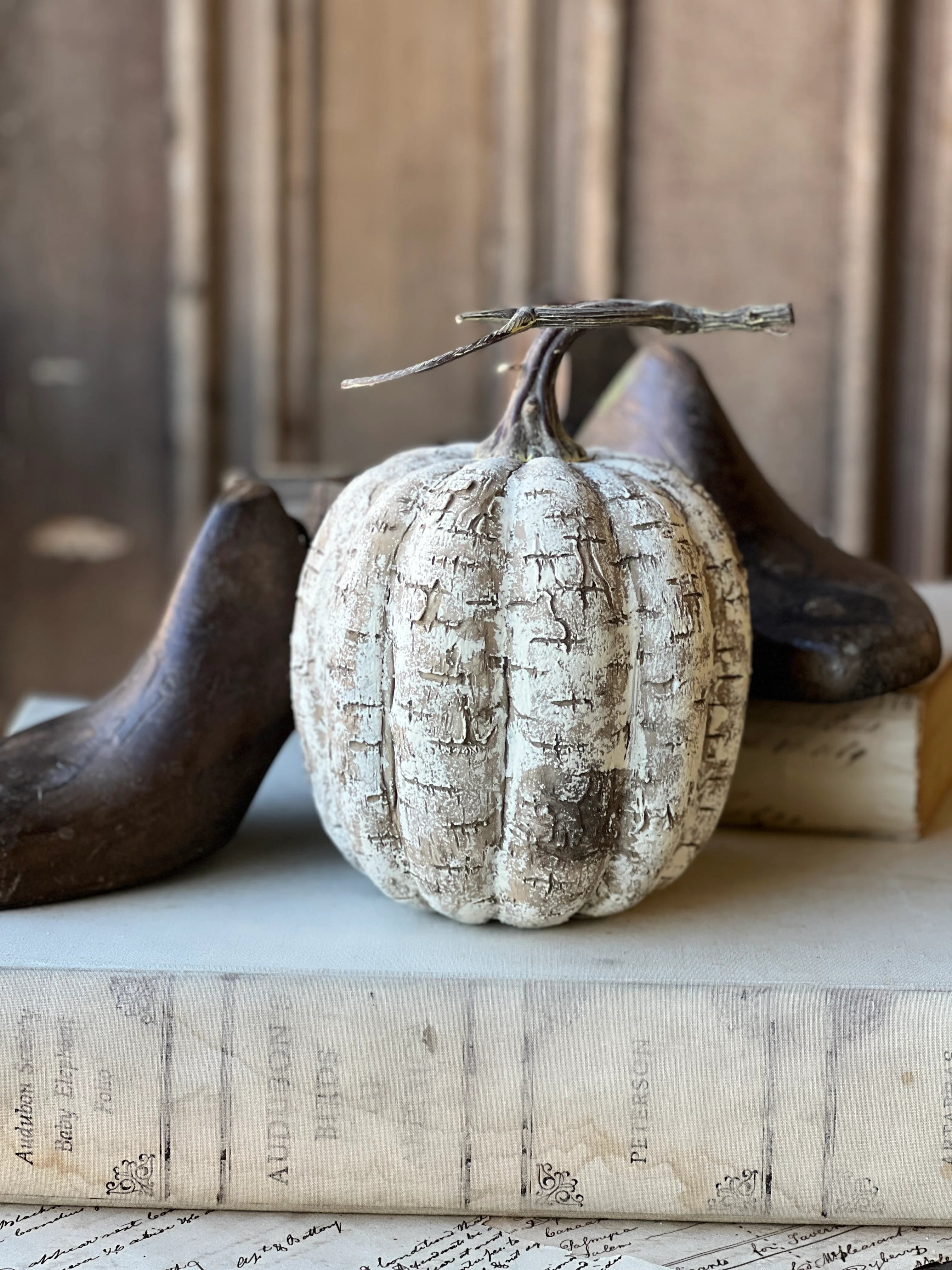 White Birch Pumpkin | 8"