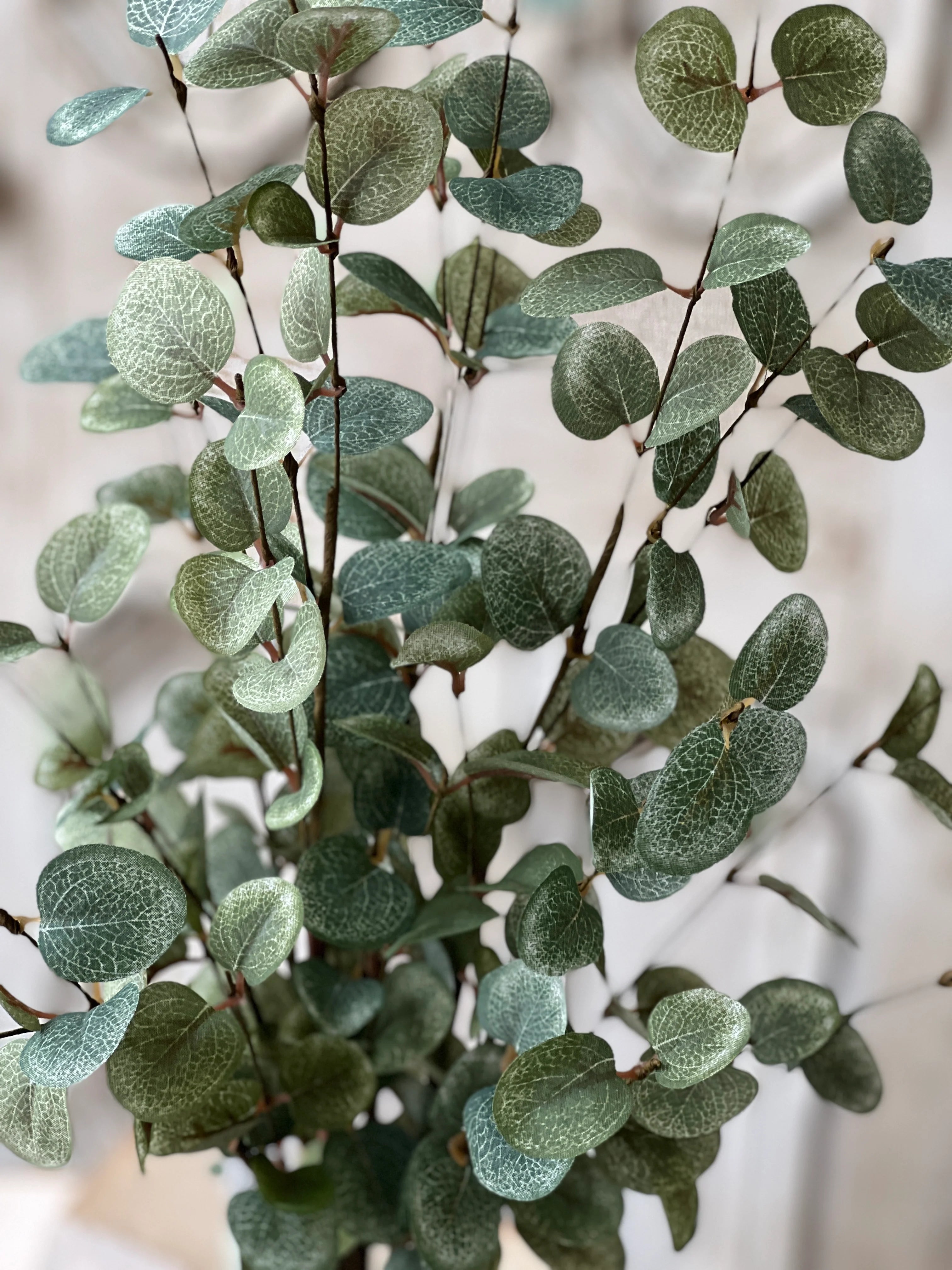 Garden Eucalyptus Bundle | 35"