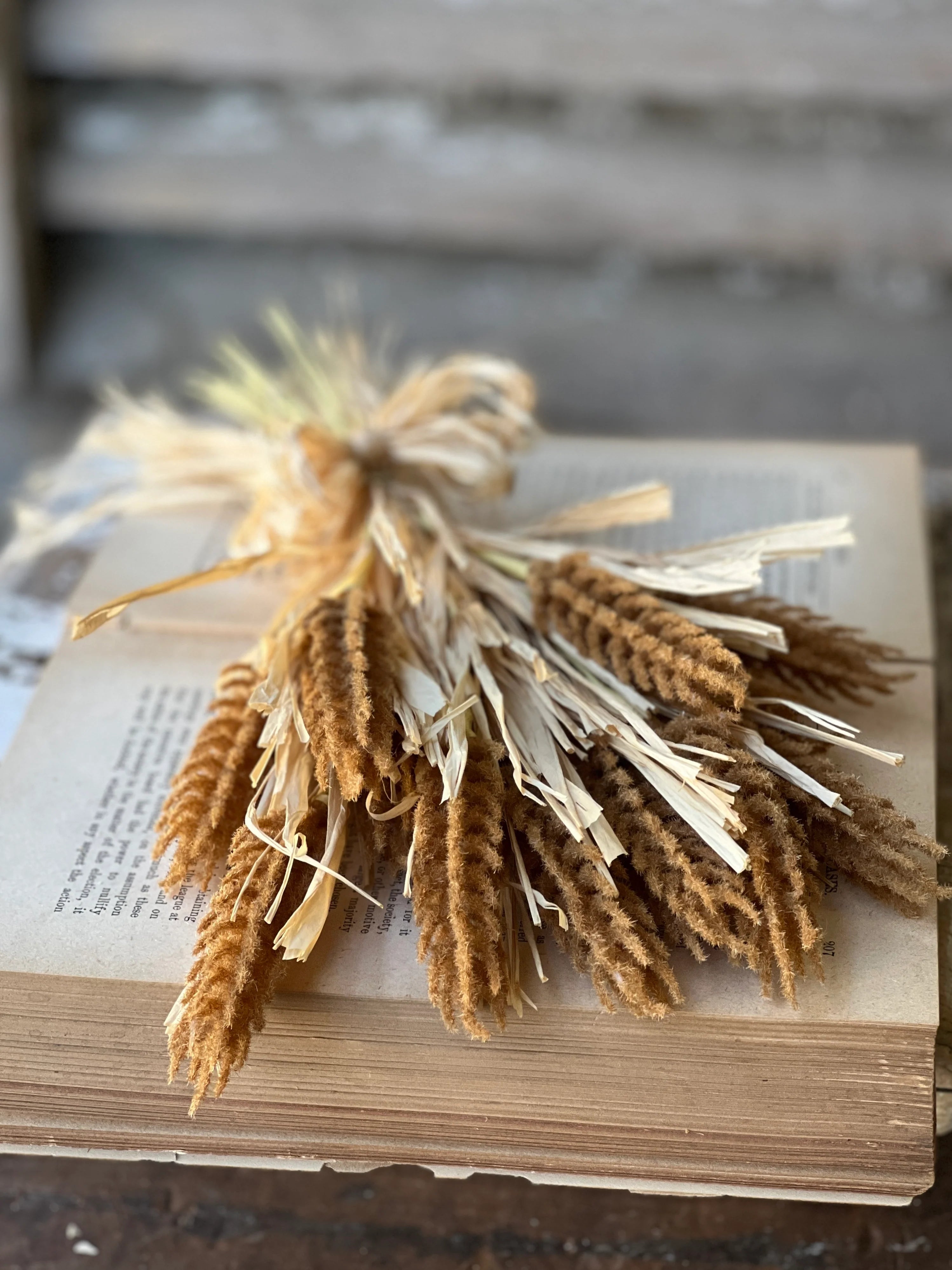 Tassel Grass Bundle | 13.5" | Bronze