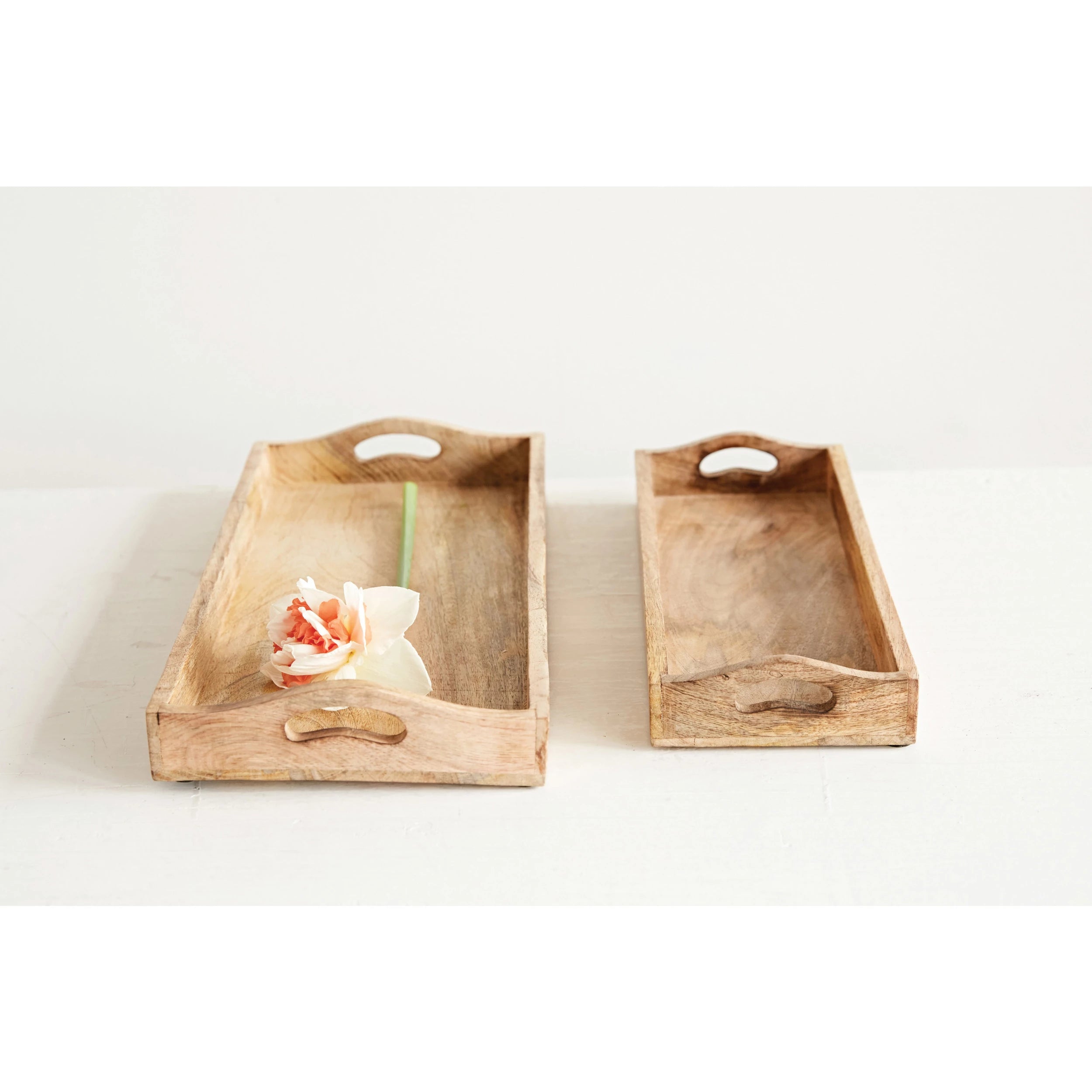 Mango Wood Trays